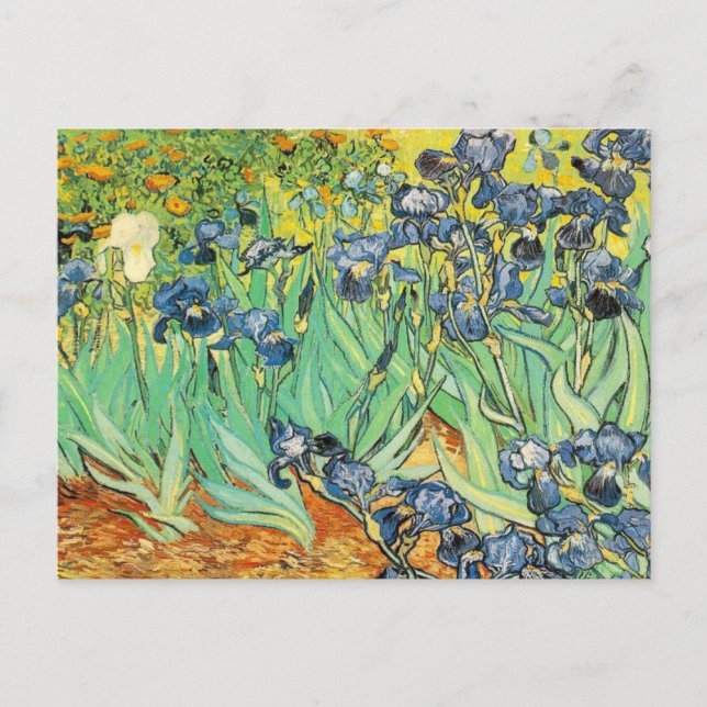Vincent Van Gogh - Irises Postcard (Front)