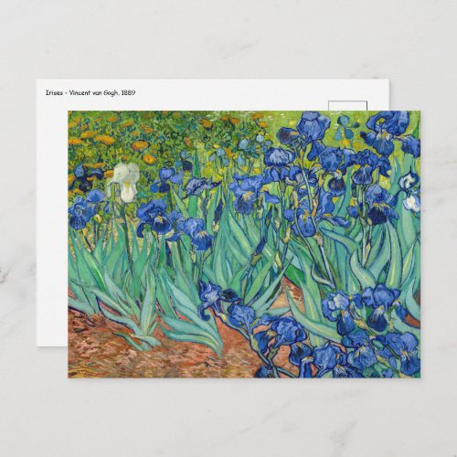 Vincent Van Gogh _ Irises Postcard