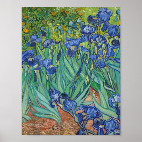 Vincent Van Gogh _ Irises Poster