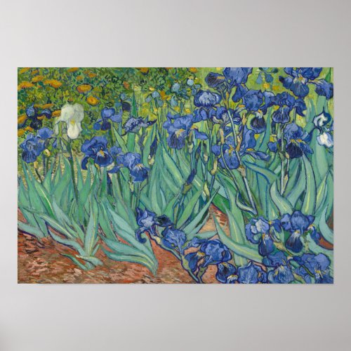 Vincent van Gogh _ Irises Poster