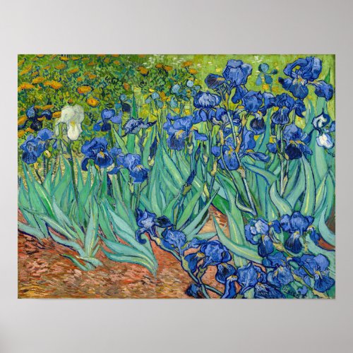 Vincent Van Gogh _ Irises Poster
