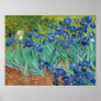 Vincent Van Gogh - Irises Poster