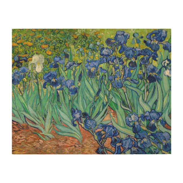 Vincent Van Gogh - Irises Wood Wall Art (Front)