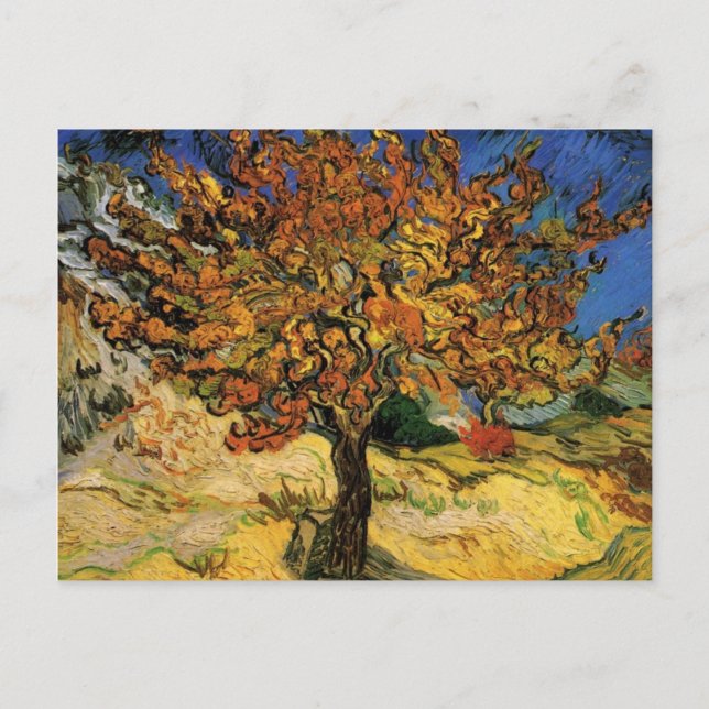 Vincent van Gogh Mulberry Tree Postcards (Front)