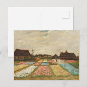 Vincent Van Gogh Oil Painting Bulb Fields Postcard