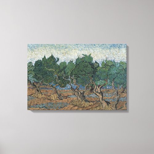 Vincent van Gogh _ Olive Grove Canvas Print