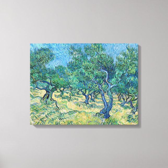 Vincent van Gogh - Olive Grove Canvas Print (Front)
