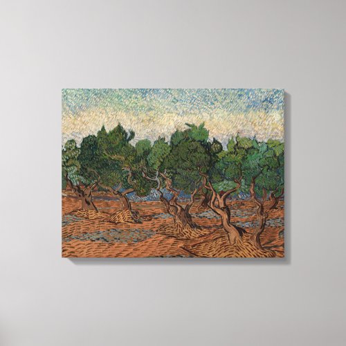 Vincent van Gogh _ Olive Grove Canvas Print