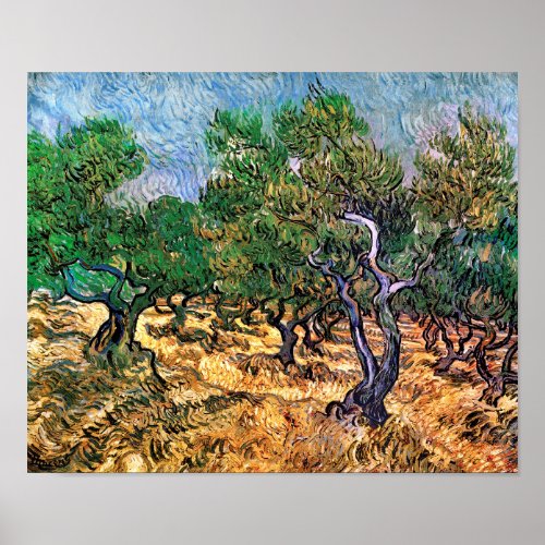 Vincent Van Gogh _ Olive Grove Fine Art Poster