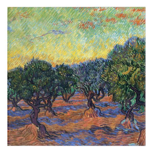 Vincent Van Gogh Olive Grove Impressionism Art