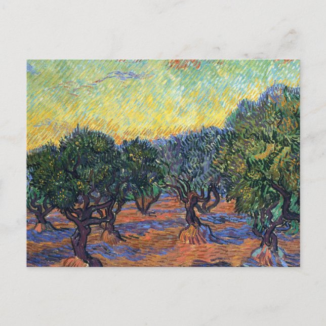 Vincent Van Gogh Olive Grove Impressionism Art Postcard (Front)