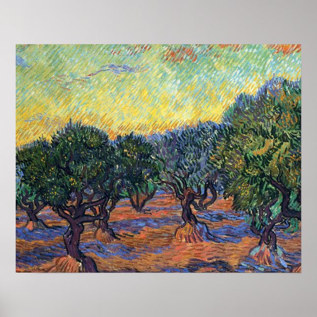 Vincent Van Gogh Olive Grove Impressionism Art Poster (Front)