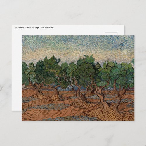 Vincent van Gogh _ Olive Grove Postcard