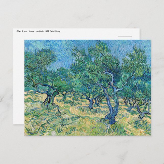 Vincent van Gogh - Olive Grove Postcard (Front/Back)
