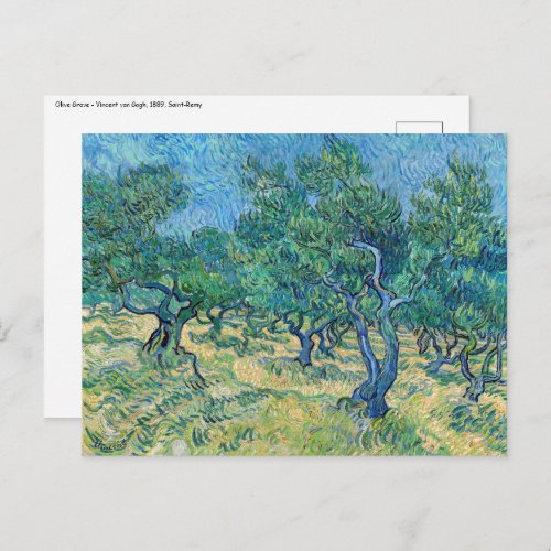 Vincent van Gogh _ Olive Grove Postcard