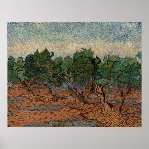 Vincent van Gogh _ Olive Grove Poster