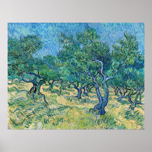 Vincent van Gogh  Olive Grove Poster