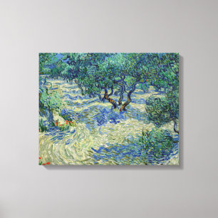 Vincent van Gogh - Olive Orchard Canvas Print