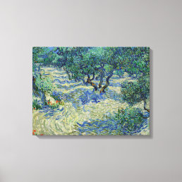 Vincent van Gogh - Olive Orchard Canvas Print