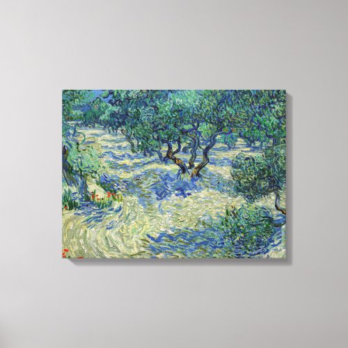 Vincent van Gogh _ Olive Orchard Canvas Print