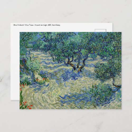 Vincent van Gogh _ Olive Orchard Postcard