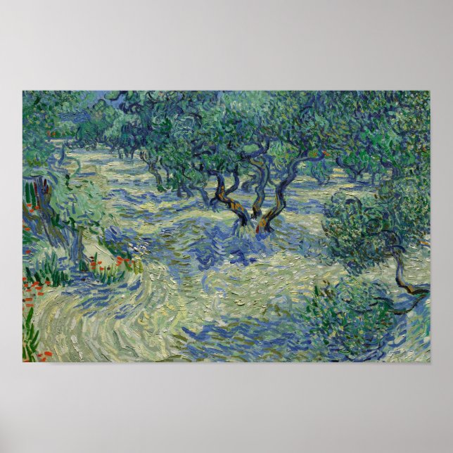 Vincent van Gogh - Olive Orchard Poster (Front)