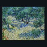 Vincent van Gogh - Olive Orchard Poster<br><div class="desc">Olive Orchard / Olive Trees - Vincent van Gogh,  1889,  Saint-Remy</div>