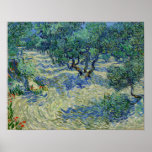Vincent van Gogh - Olive Orchard Poster<br><div class="desc">Olive Orchard / Olive Trees - Vincent van Gogh,  1889,  Saint-Remy</div>