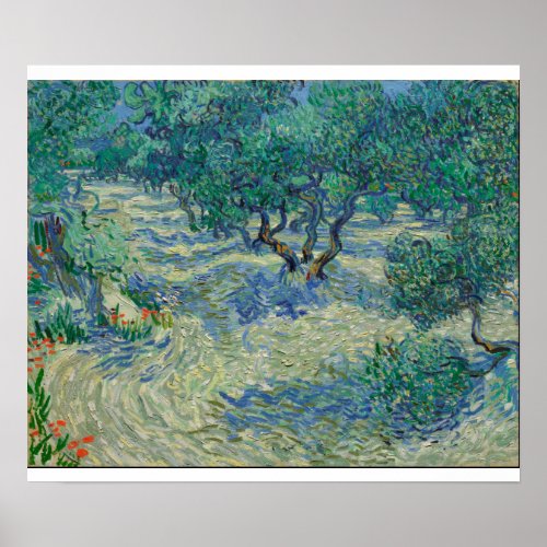Vincent Van Gogh _ Olive Orchard Poster