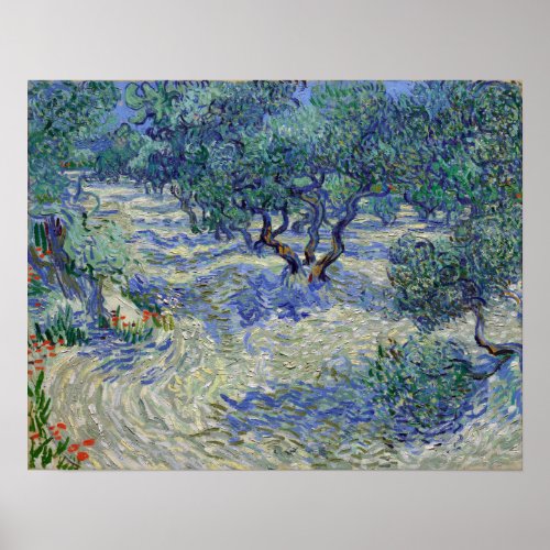 Vincent van Gogh Olive Orchard Poster