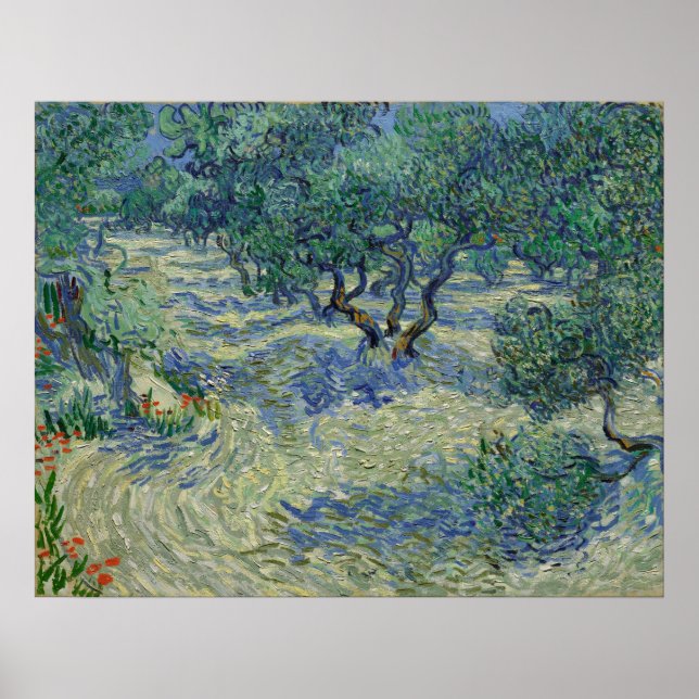 Vincent van Gogh - Olive Orchard Poster (Front)