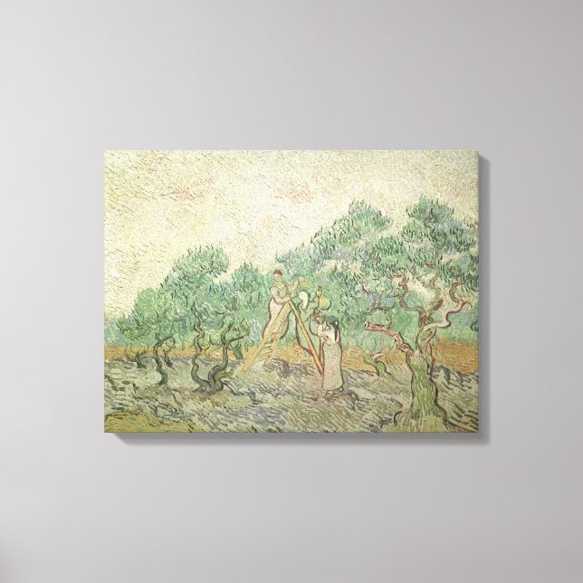 Vincent van Gogh - Olive Picking Canvas Print (Front)