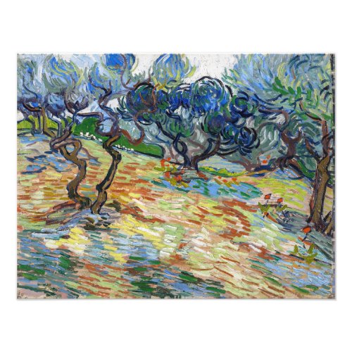 Vincent van Gogh _ Olive Trees Bright blue sky Photo Print