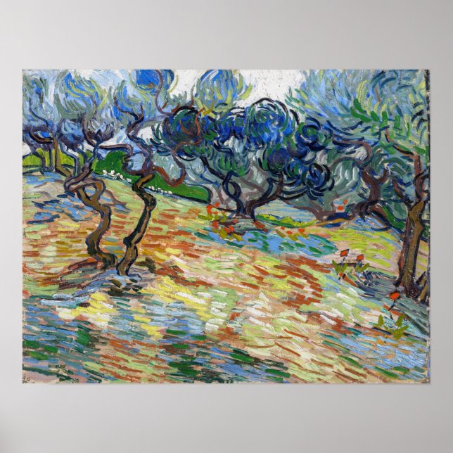 Vincent van Gogh - Olive Trees: Bright blue sky Poster (Front)