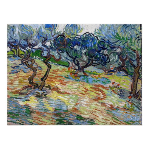 Vincent van Gogh _ Olive Trees Bright blue sky Poster