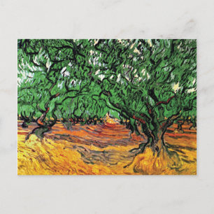 Vincent Van Gogh - Olive Trees Fine Art Postcard