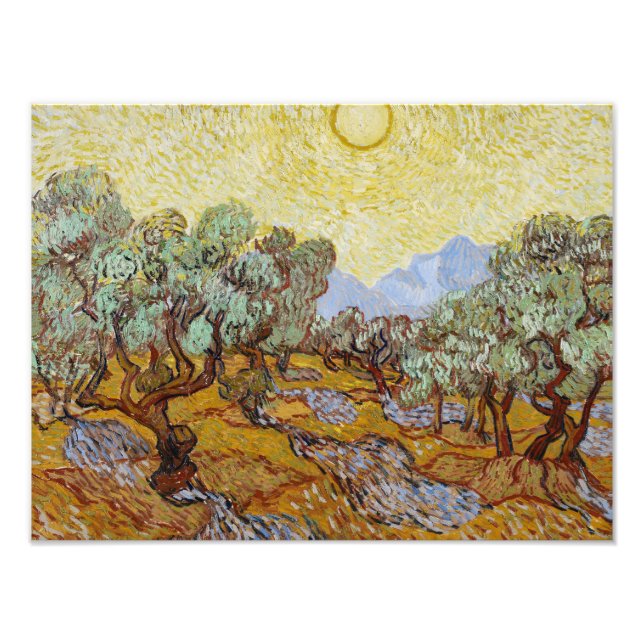 Vincent van Gogh - Olive Trees Photo Print (Front)