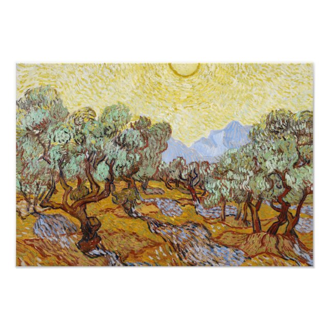 Vincent van Gogh - Olive Trees Photo Print (Front)