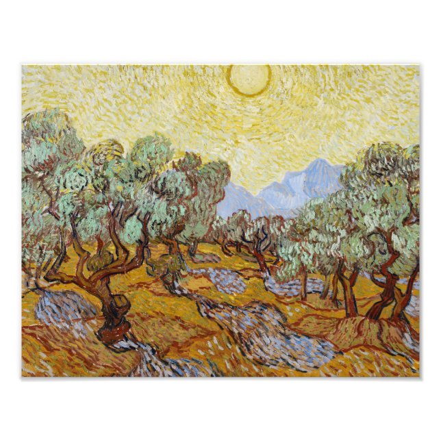Vincent van Gogh - Olive Trees Photo Print (Front)