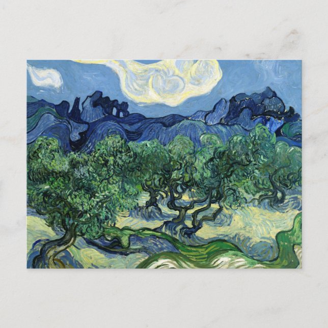 Vincent van Gogh Olive Trees Postcard (Front)