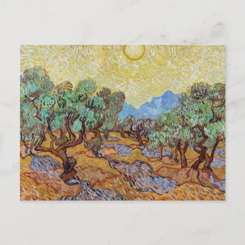 Vincent van Gogh Olive Trees Postcard