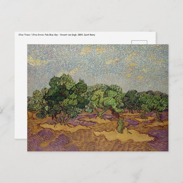Vincent van Gogh - Olive Trees Postcard (Front/Back)