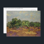 Vincent van Gogh - Olive Trees Postcard<br><div class="desc">Olive Trees / Olive Grove: Pale Blue Sky - Vincent van Gogh,  1889,  Saint-Remy</div>