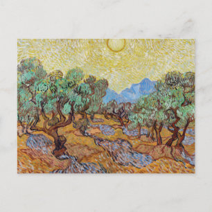 Vincent van Gogh Olive Trees Postcard   Stunning A