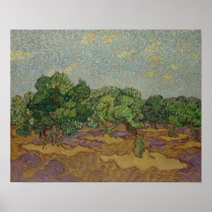 Vincent van Gogh - Olive Trees Poster