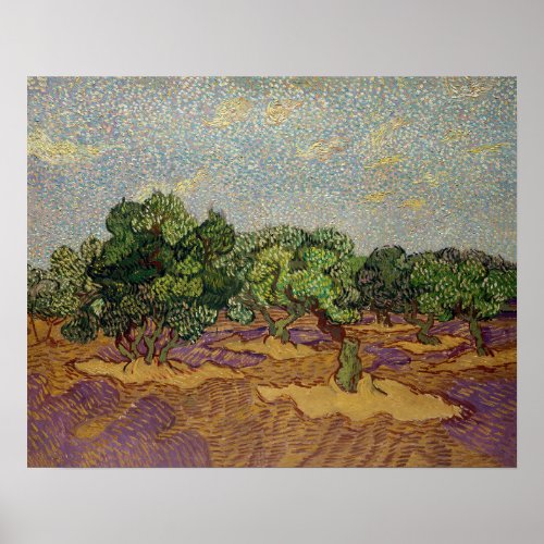 Vincent van Gogh _ Olive Trees Poster