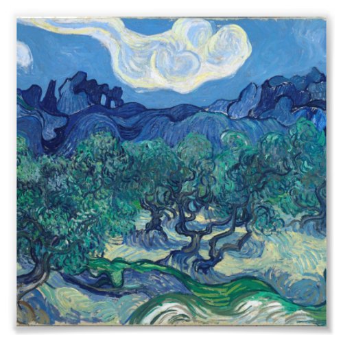 Vincent Van Gogh _ Olive Trees with the Alpilles Photo Print