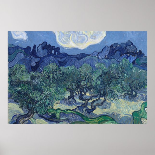 Vincent Van Gogh - Olive Trees with the Alpilles Poster (Front)