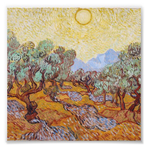 Vincent Van Gogh _ Olive Trees with Yellow Sky Photo Print