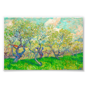 Vincent van Gogh Orchard in Blossom Photo Print